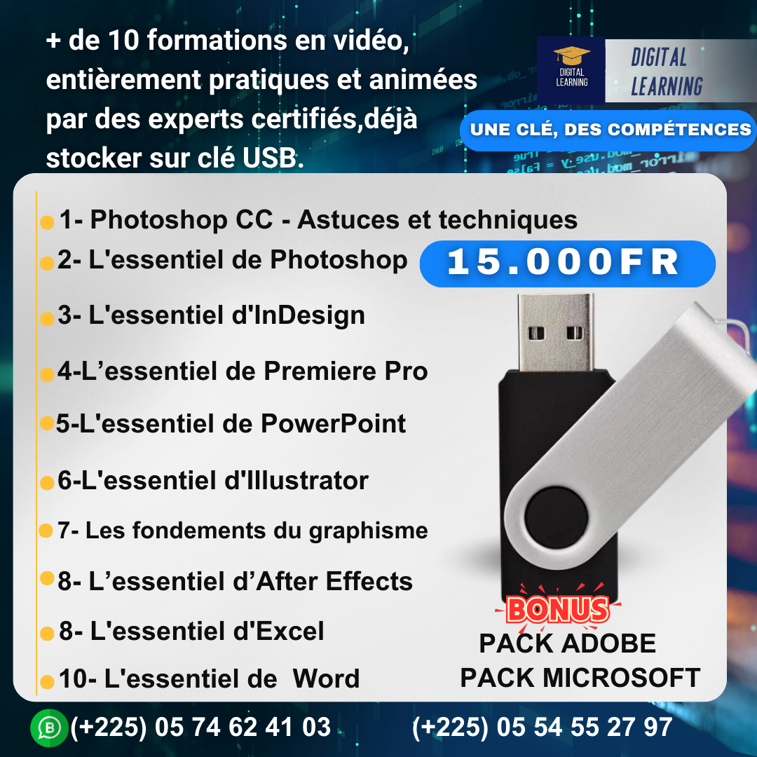 Clé USB – 10+ Formations Adobe & Microsoft (Sans Connexion)